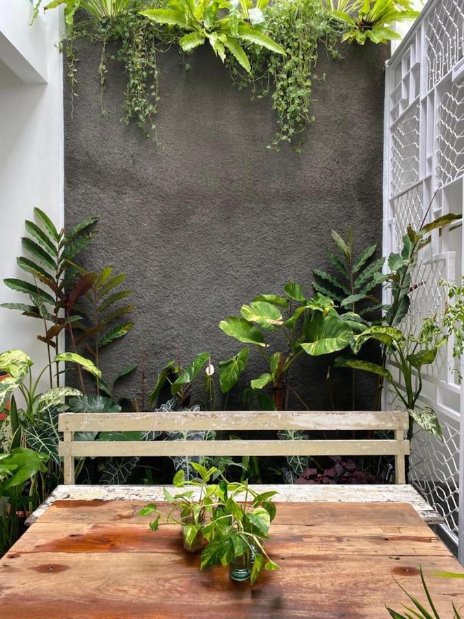 Javaku Hostel 日惹 外观 照片